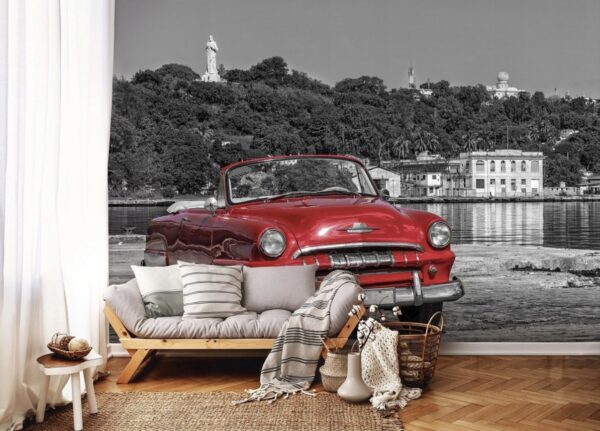 Fototapeta auto 254x184 cm NOVÝ 2. jakost - Obrázek 3