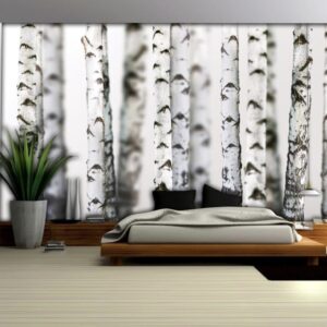 Fototapeta břízy 152,5x104 cm NOVÝ 2. jakost