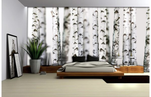 Fototapeta břízy 152,5x104 cm NOVÝ 2. jakost