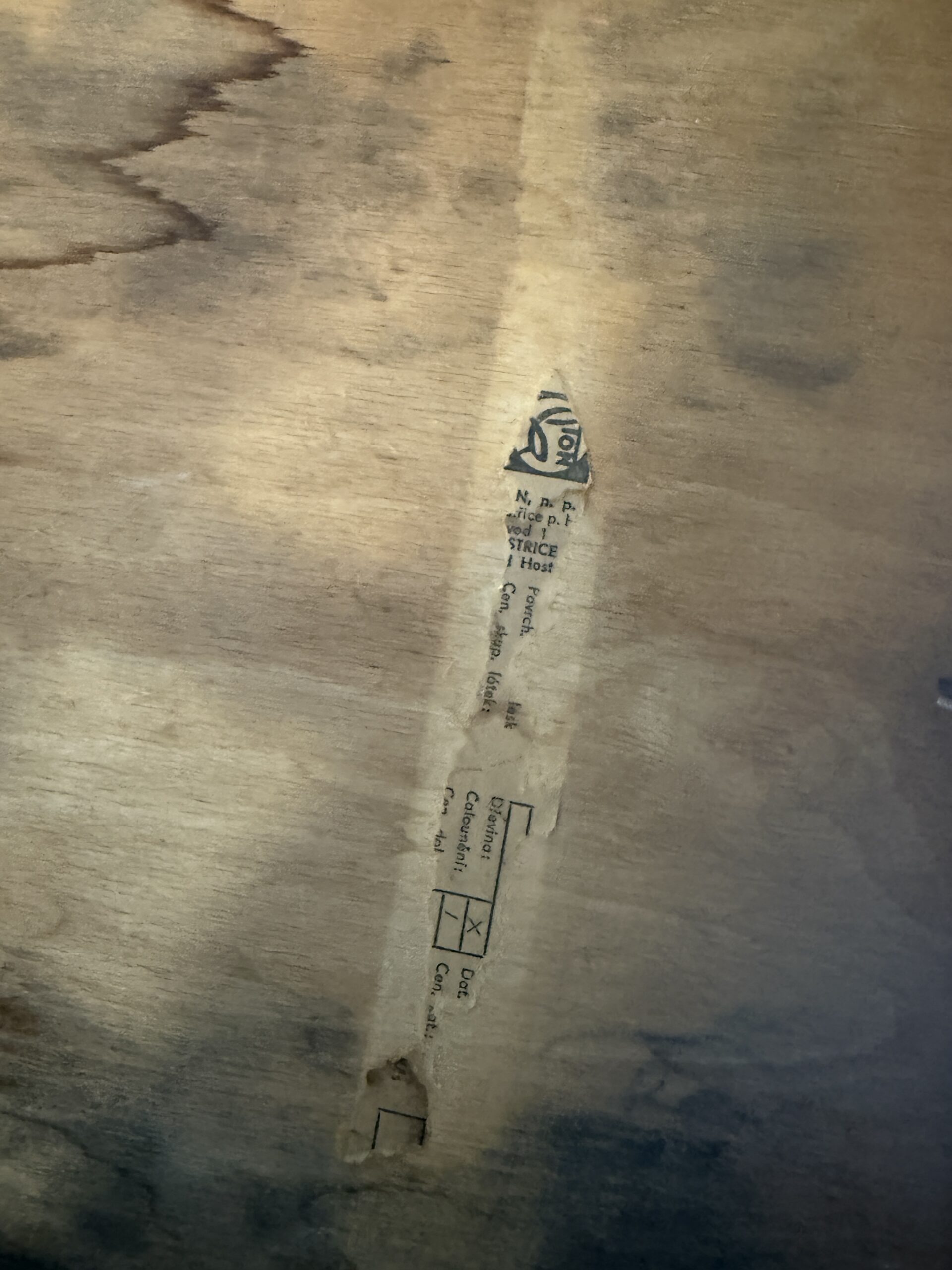 Židle TON - Obrázek 5