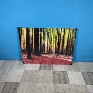 Obraz Les 75 x 100 cm NOVÝ 2. jakost