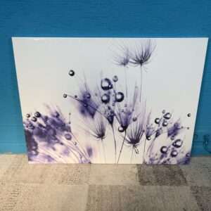 Obraz pampelišky 75x100 cm NOVÝ